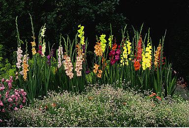 本周Fami通评分出炉 《人间地狱》获31分评价